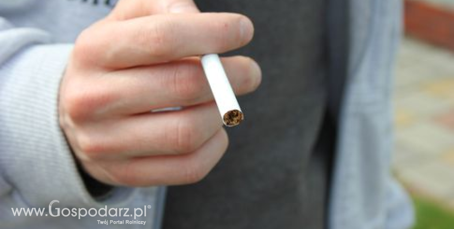 Czy dyrektywa tytoniowa zostanie przyjęta? Głosowanie 8 października