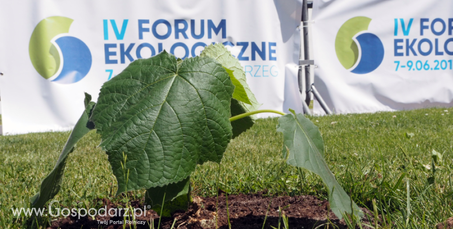 IV Forum Ekologiczne – kolejne Oxytree w ekologicznej stolicy Polski