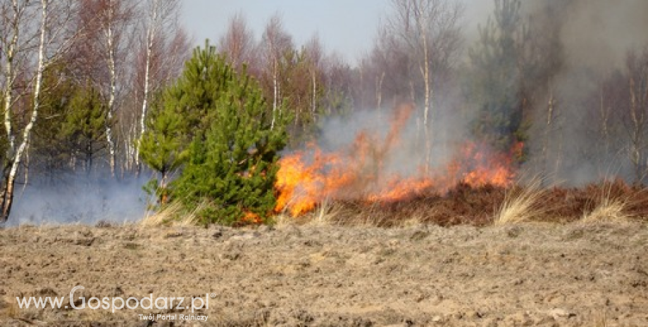 Wypalanie traw grozi utratą dopłat