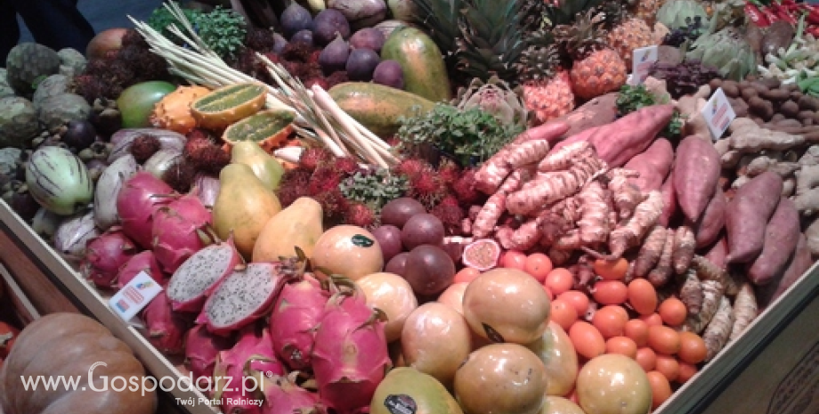 Jakość handlowa świeżych owoców i warzyw w 2022 r.