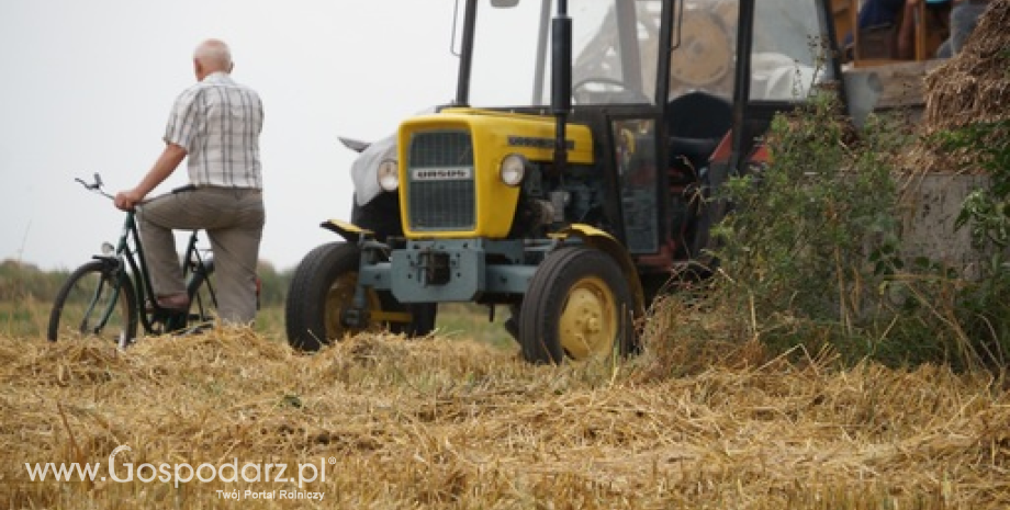 GUS: Polska produkcja rolnicza skurczyła się o 4%