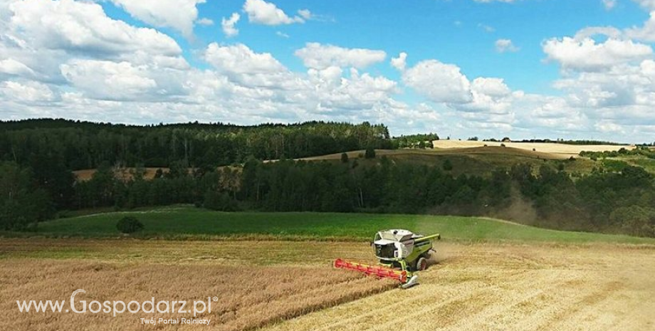 WIR: Na rynku może brakować ziarna zbóż