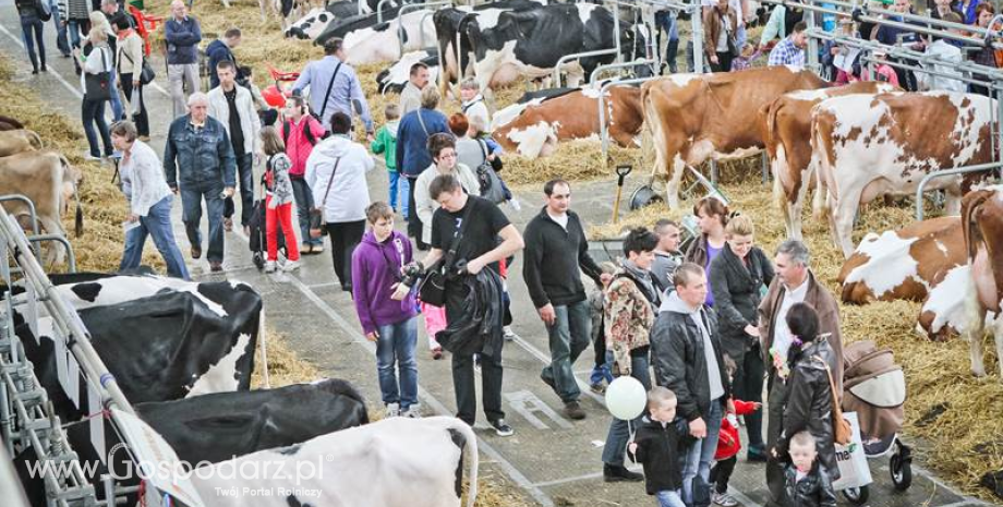 XXVII Krajowa Wystawa Zwierząt Hodowlanych – spotkanie o wielkich możliwościach!