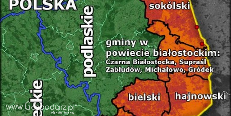 Obszar zagrożenia afrykańskim pomorem świń. Komunikat Głównego Lekarza Weterynarii