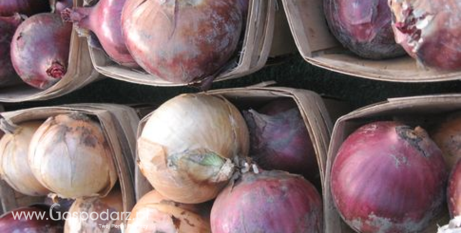 Straty w przechowywanych ziemiopłodach rolnych i ogrodniczych w maju 2013 r.