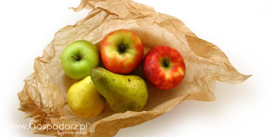 Ceny jabłek, śliwek i gruszek w Polsce (29.10-05.11.2013)