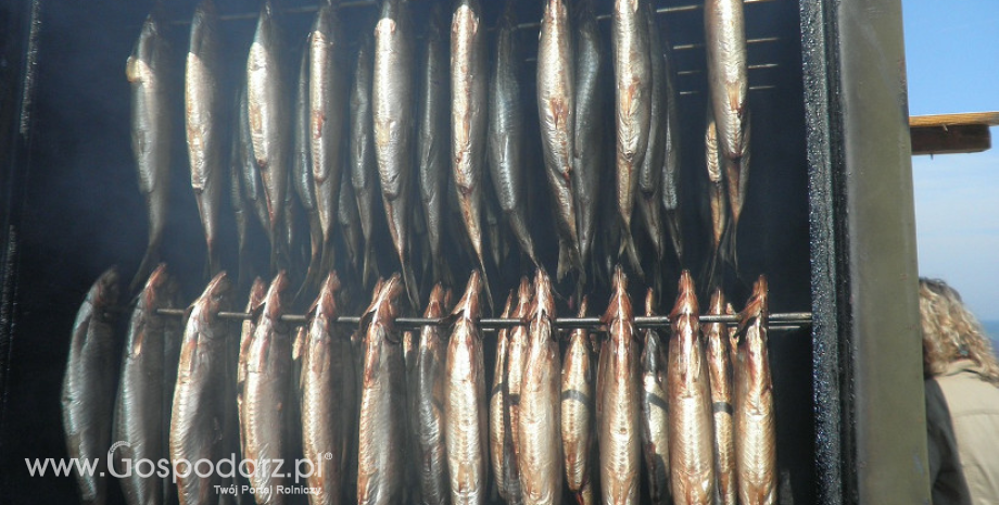 Jakość handlowa produktów rybołówstwa w 2022 r.