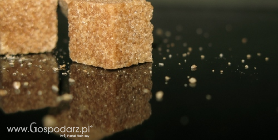 Wysokie ceny cukru w Indiach zachęcają do importu