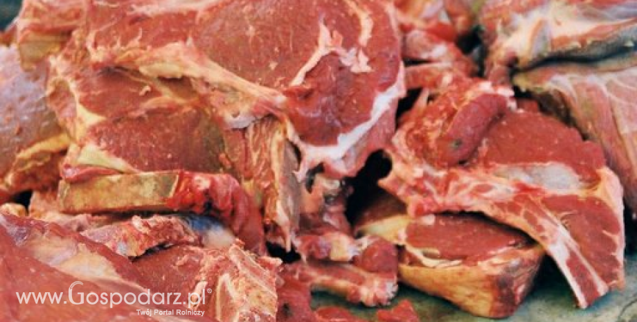 Ceny mięsa wołowego, wieprzowego i drobiowego (19.06.2016)