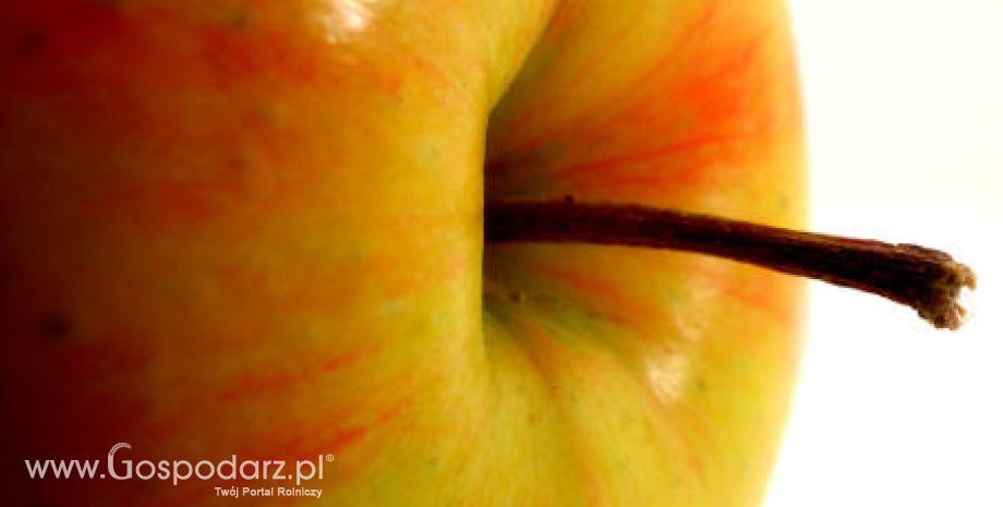 Ceny jabłek w Polsce (08-15.04.2014)