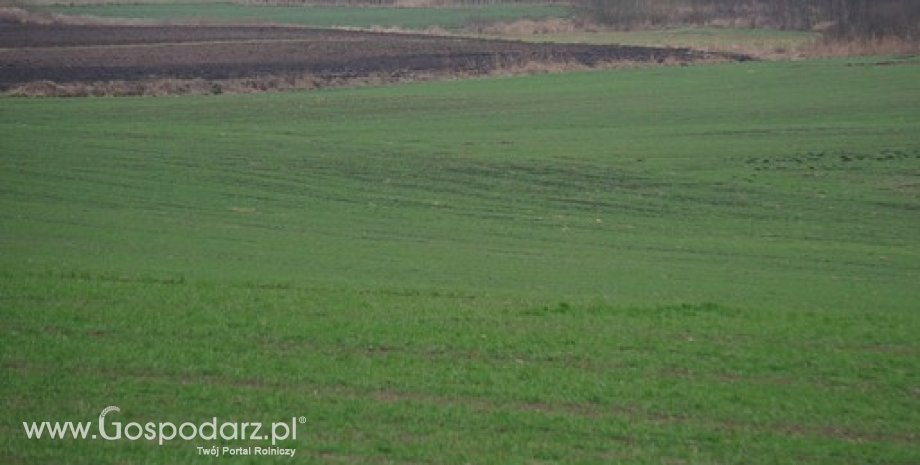 Przebieg warunków agrometeorologicznych w okresie od jesieni 2023 r. do lata 2024 r.