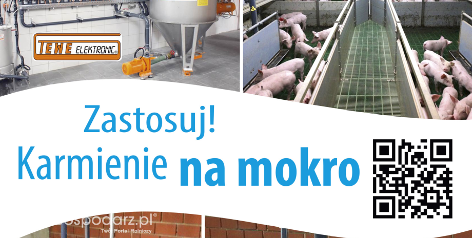 Otwarcie nowoczesnej chlewni z firmą TerraExim Agroimpex