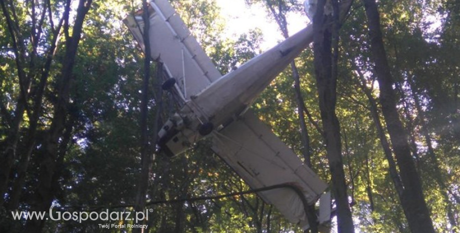 Tajemniczy samolot znaleziony w lesie