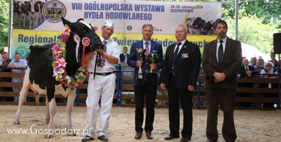 Superczempiony, czempiony i wiceczempiony bydła mlecznego XXI Regionalnej Wystawy Zwierząt Hodowlanych w Szepietowie