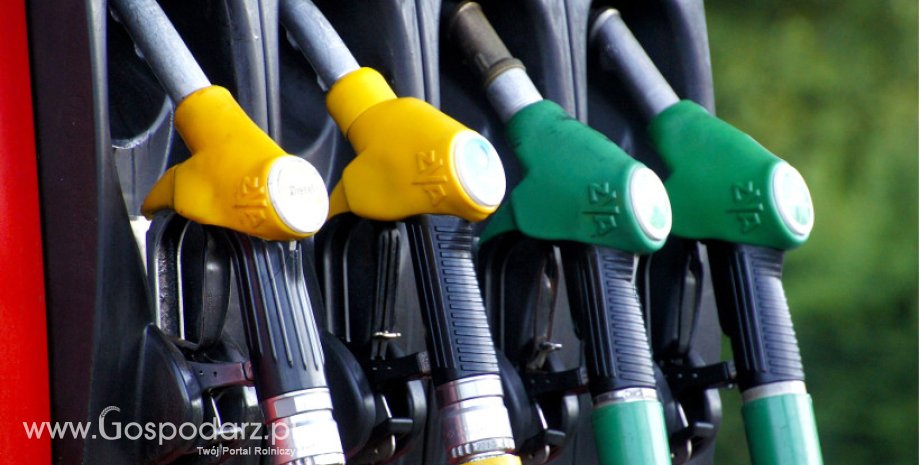 Ceny na stacjach paliw rosły na przełomie stycznia i lutego