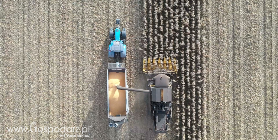 MRiRW w sprawie certyfikacji pochłaniania dwutlenku węgla