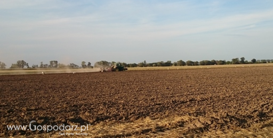 Dobre nastroje rolników przyczyną niespodziewanej poprawy koniunktury