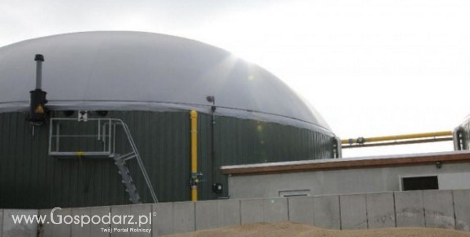 Sieć lokalnych biogazowni na Zamojszczyźnie