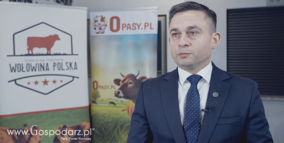 Wołowina z ras mlecznych wraca do rozmów branży. Dlaczego producenci chcą rozwijać ten kierunek?