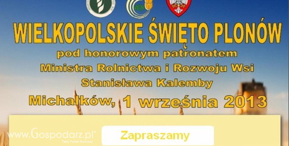 Wielkopolskie Święto Plonów Michałków 2013 - zapowiedź