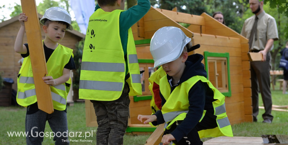 Leśne atrakcje nie tylko dla najmłodszych