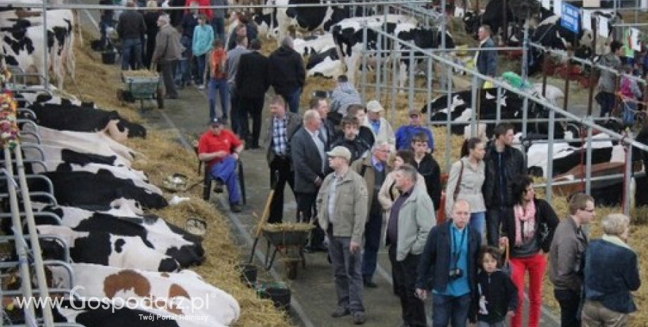 XXVI Krajowa Wystawa Zwierząt Hodowlanych w Poznaniu - podsumowanie [foto]