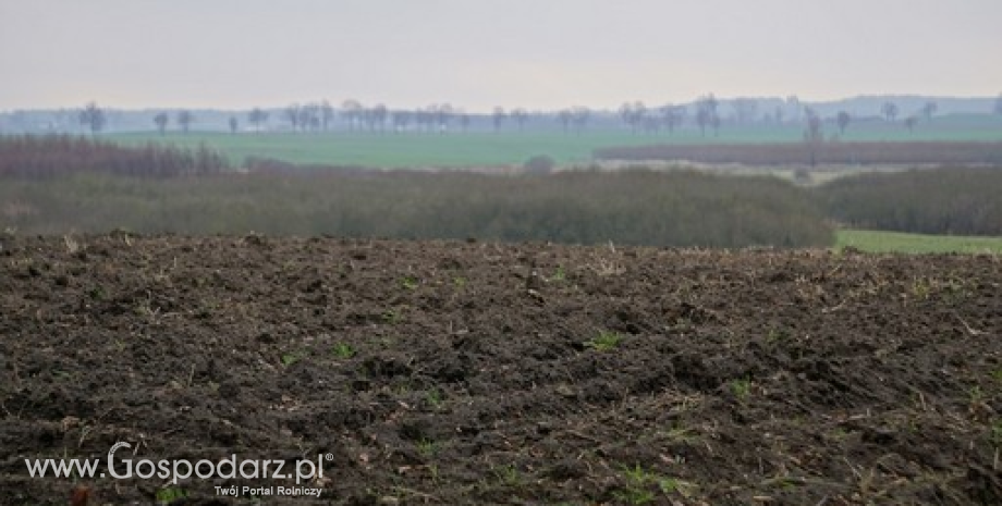 Trwa wypłata płatności bezpośrednich za 2015 r.