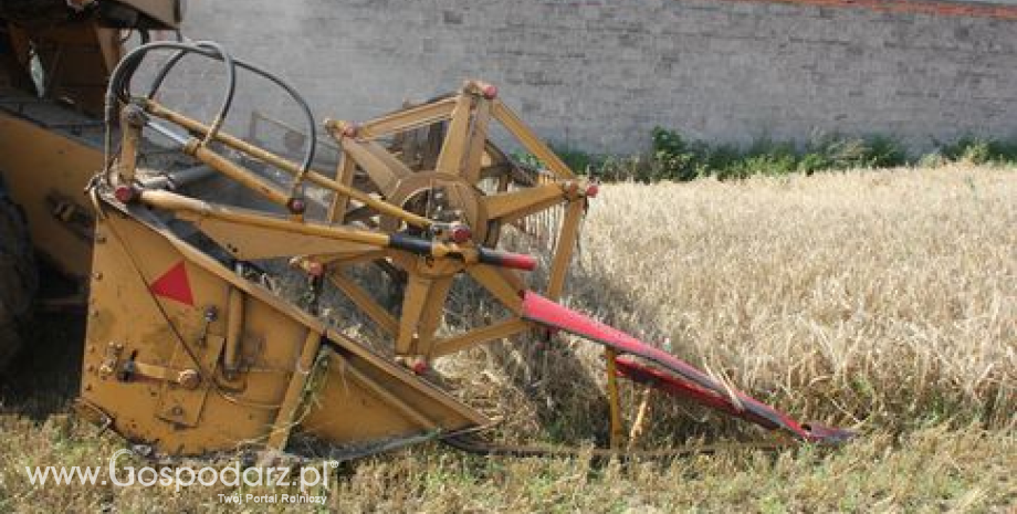 Rosja zebrała już ponad 55 mln ton zbóż