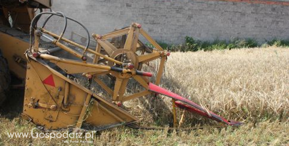 Nowe wieloletnie minima większości kontraktów zbożowych (11.09.2014)