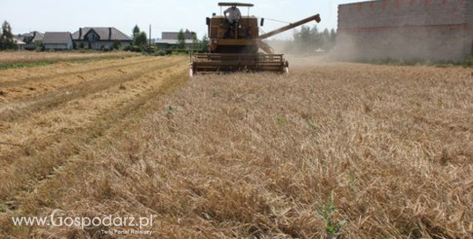 Ceny zbóż w Polsce (22-28.07.2013)