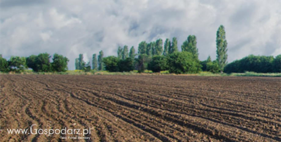 Płatności obszarowe za 2015 r. Szybciej złożony wniosek, oznacza szybszą wypłatę