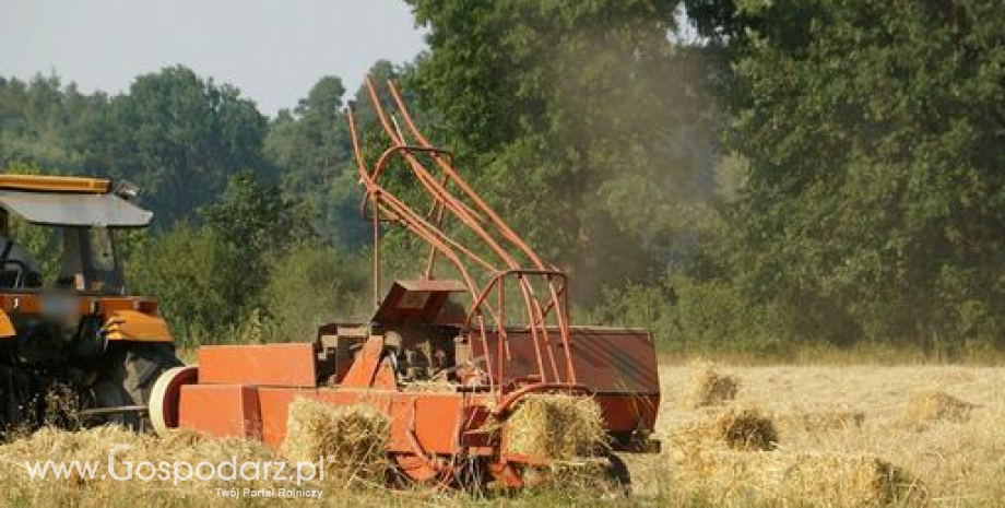 Bardzo wysokie zbiory zbóż w Rosji w sezonie 2016/2017