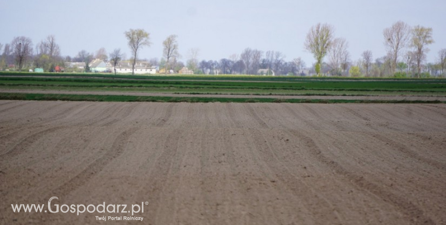 Ceny użytków rolnych w II kwartale 2016 r.