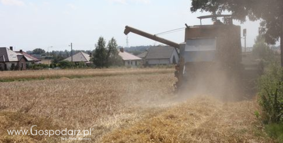 Wzrostowy tydzień na giełdowym rynku zbóż (19-23.08.2013)