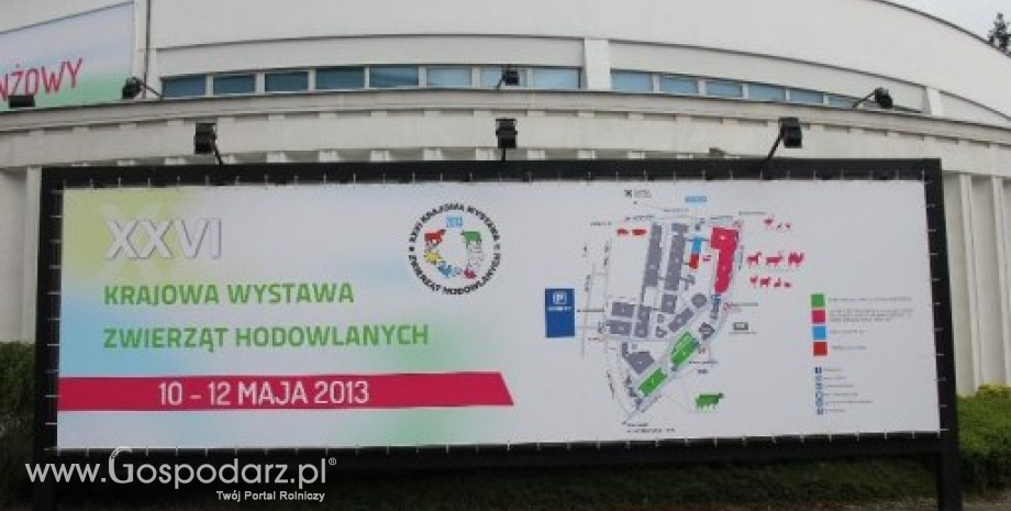 XXVI Krajowa Wystawa Zwierząt Hodowlanych – dzień pierwszy [foto]