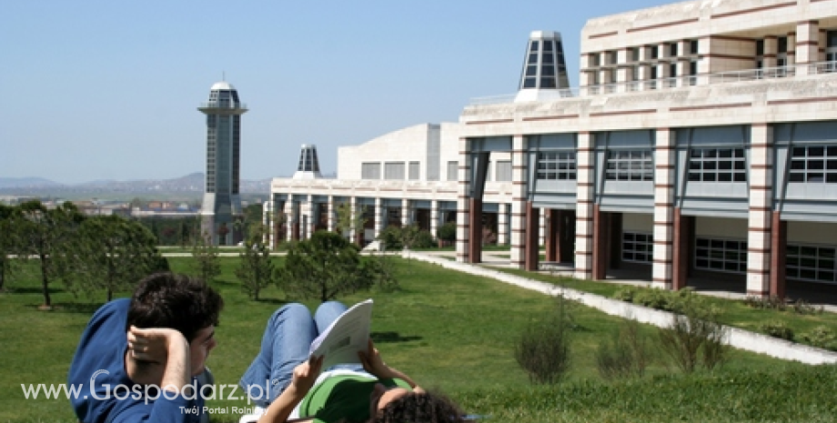 Polskie uczelnie zajmują odległe miejsca w światowych rankingach uniwersytetów