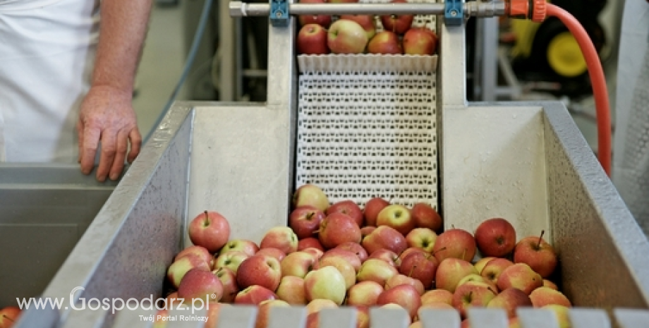 Wzrost cen jabłek wyhamował