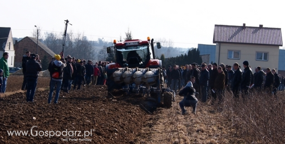 Koniunktura w rolnictwie. Sezonowe ożywienie w II kwartale 2015 r.