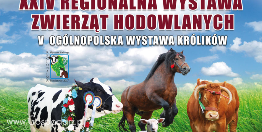 XXIV Regionalna Wystawa Zwierząt Hodowlanych