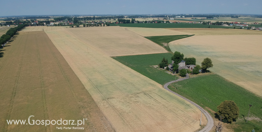 Wystąpienie warunków suszy w Polsce