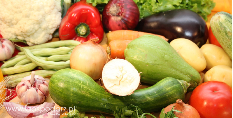 Copa i Cogeca apelują do UE o wsparcie dla organizacji producentów owoców i warzyw w przyszłym systemie