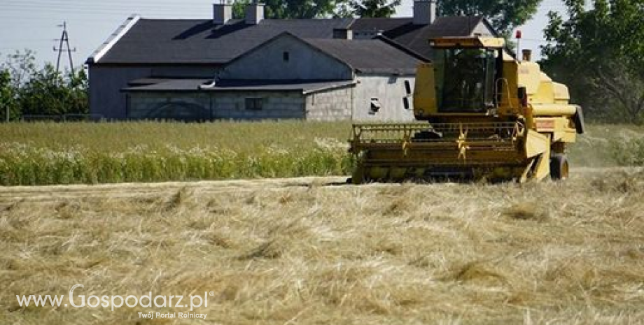 Żniwa na Ukrainie. Zbiory szacuje się na 60 mln ton