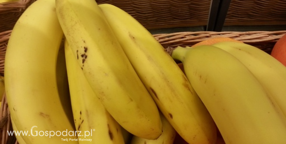 Import bananów do UE