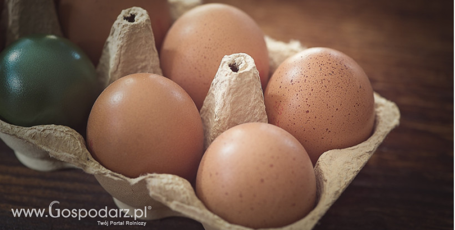Rozszerzenie ograniczeń wprowadzonych przez Białoruś z uwagi na występowanie HPAI w Polsce
