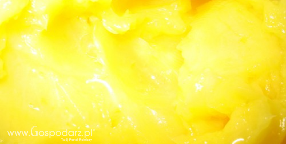 O czym pamiętać, kupując nabiał?