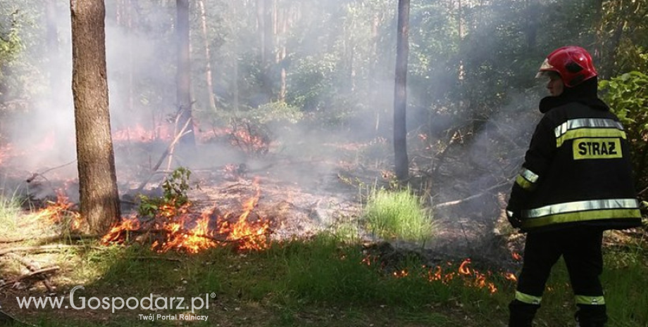 Zatrzymano wielokrotnego podpalacza