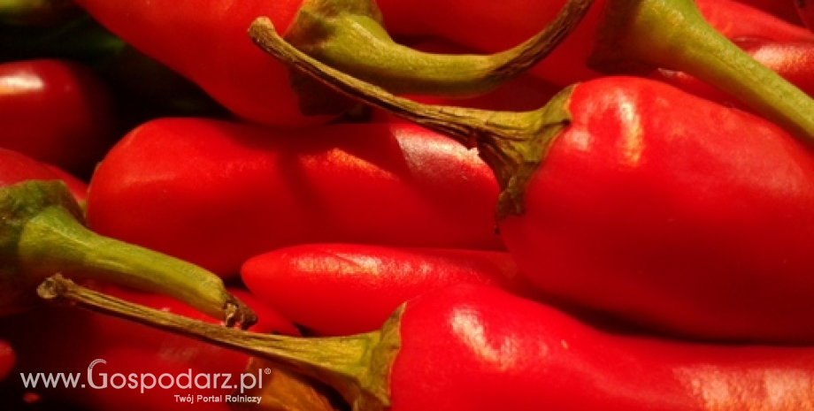 Tymczasowe środki wsparcia dla producentów niektórych owoców i warzyw