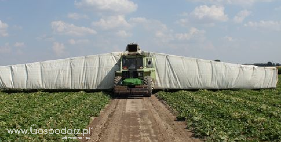 Do końca sierpnia br. wpłynęło 9 tys. powiadomień w ramach mechanizmu wsparcia sektora owoców i warzyw