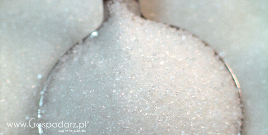 Egipt wprowadził tymczasowe cło na import cukru
