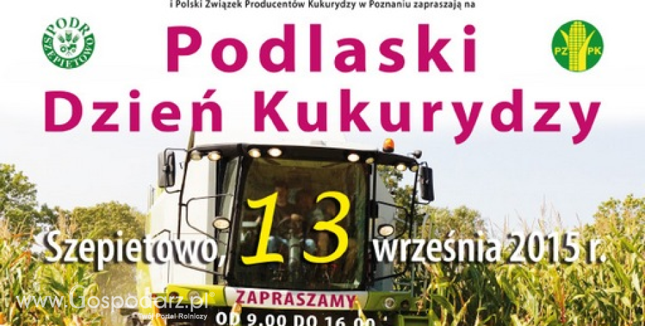 Podlaski Dzień Kukurydzy – kukurydza w roli głównej